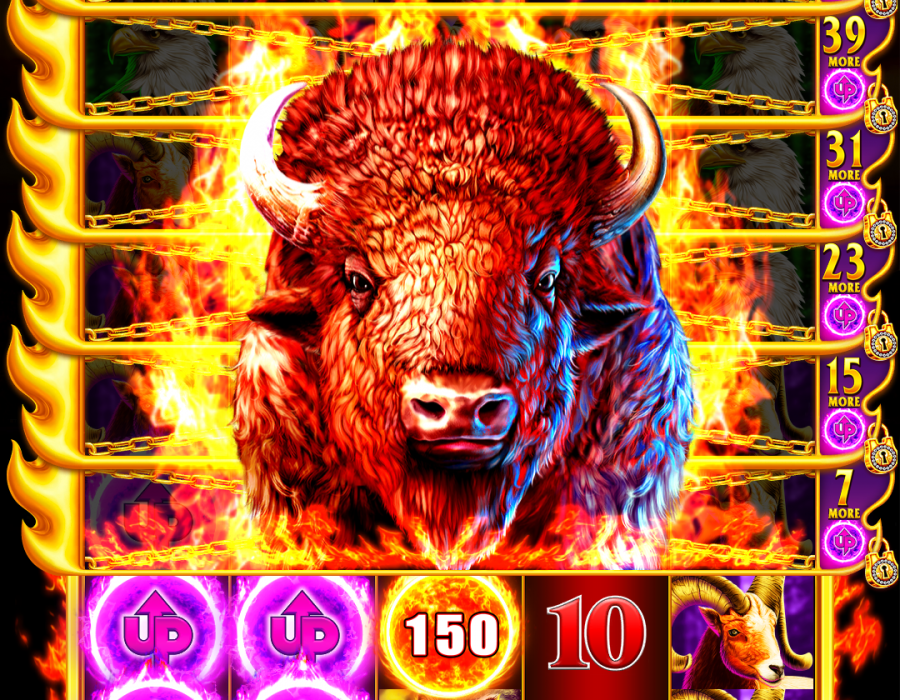 Aruze Gaming